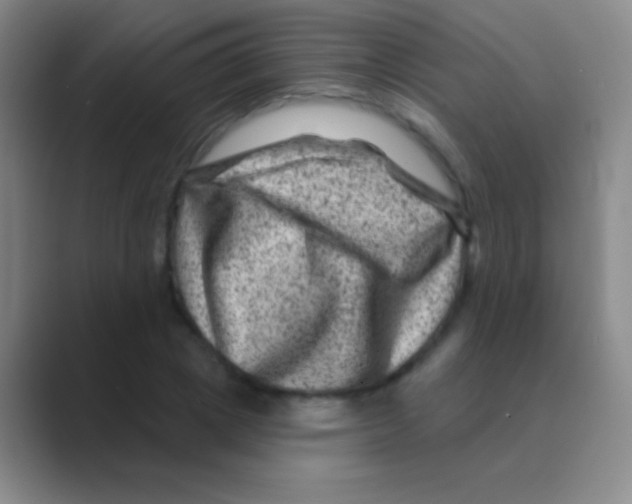 X0000088730833200706282122