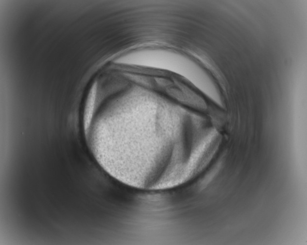 X0000088730834200706282122