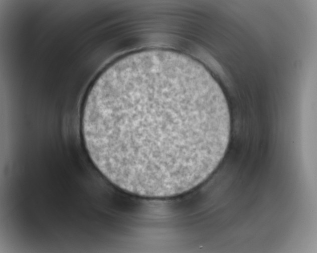 X0000088730836200706282122