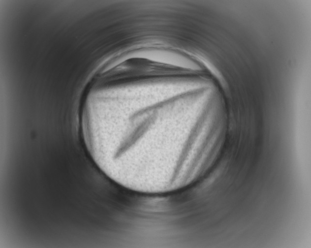 X0000088730837200706282122