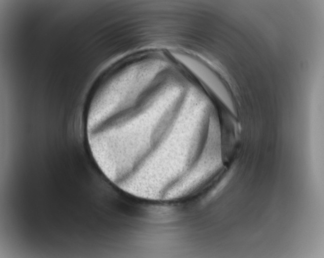 X0000088730838200706282122