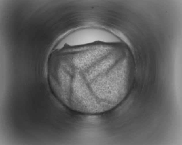 X0000088730839200706282122