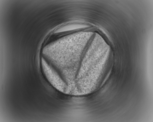 X0000088730840200706282122