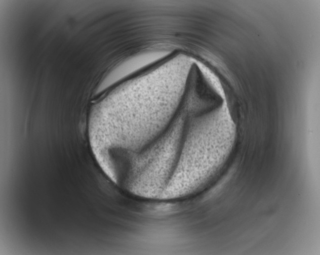 X0000088730841200706282122