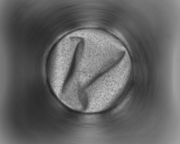 X0000088730843200706282122