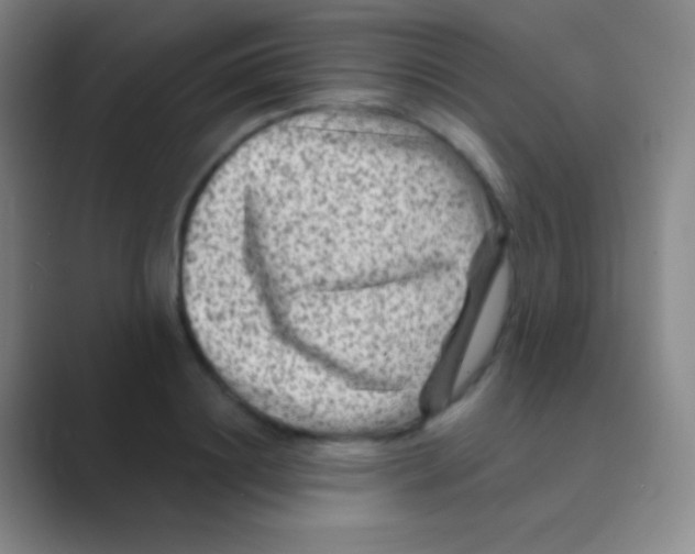 X0000088730844200706282122