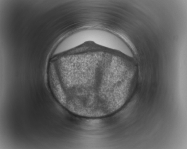 X0000088730845200706282122