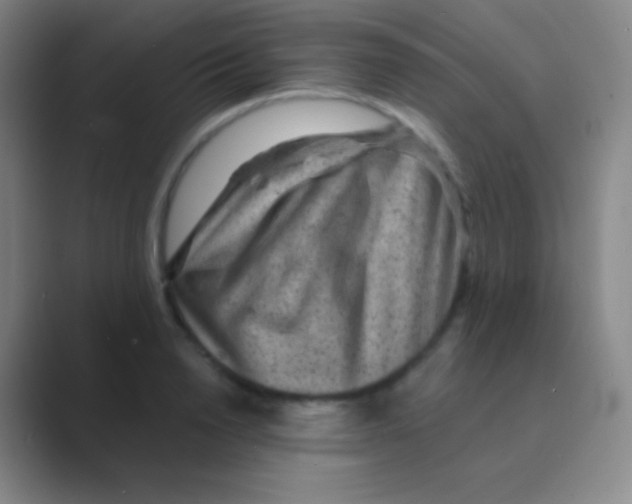 X0000088730846200706282122