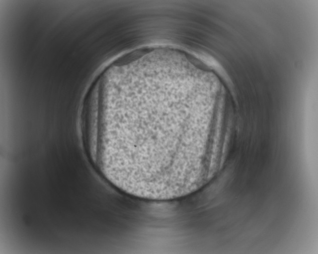 X0000088730847200706282122