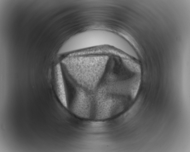 X0000088730849200706282122