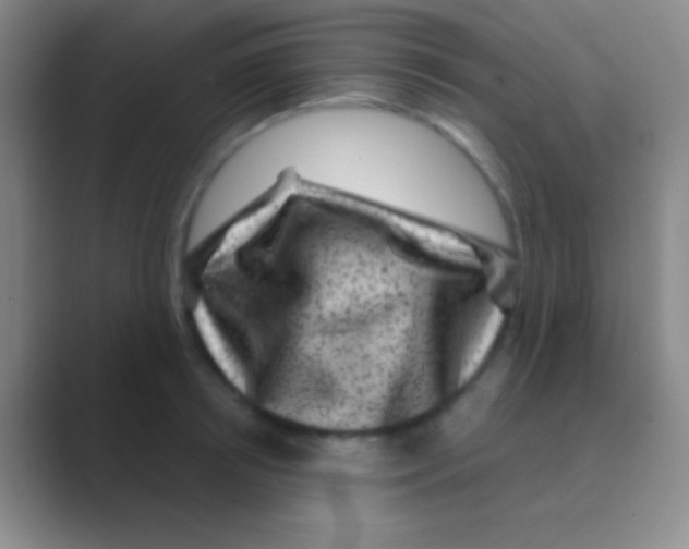 X0000088730850200706282122