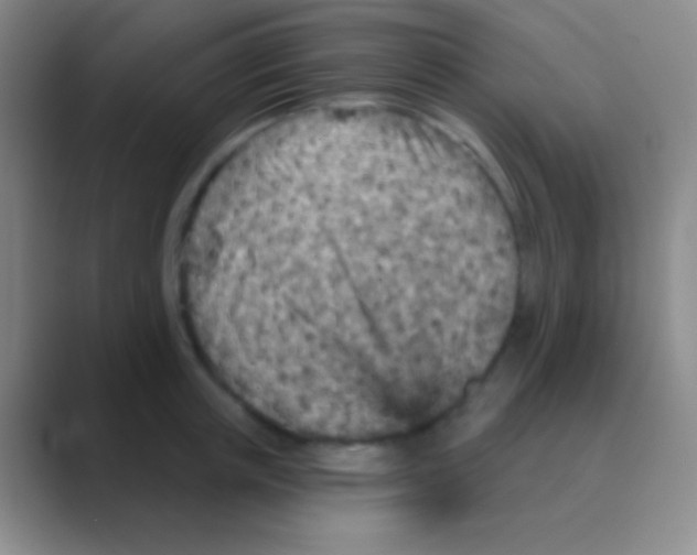 X0000088730851200706282122