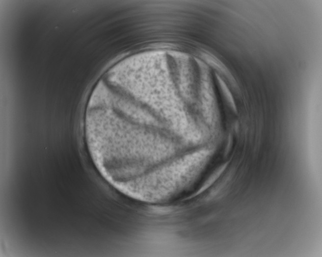 X0000088730852200706282122