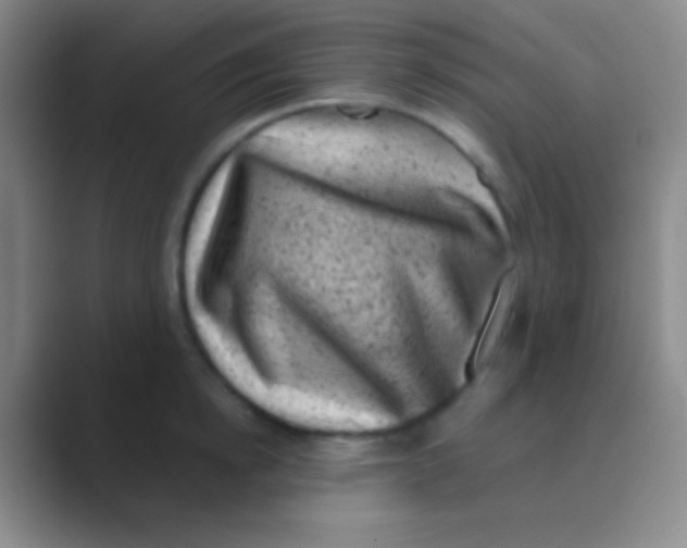 X0000088730854200706282122