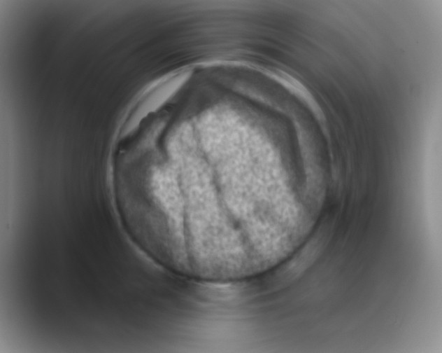 X0000088730855200706282122