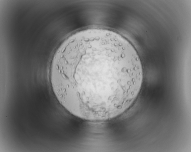 X0000088730856200706282122