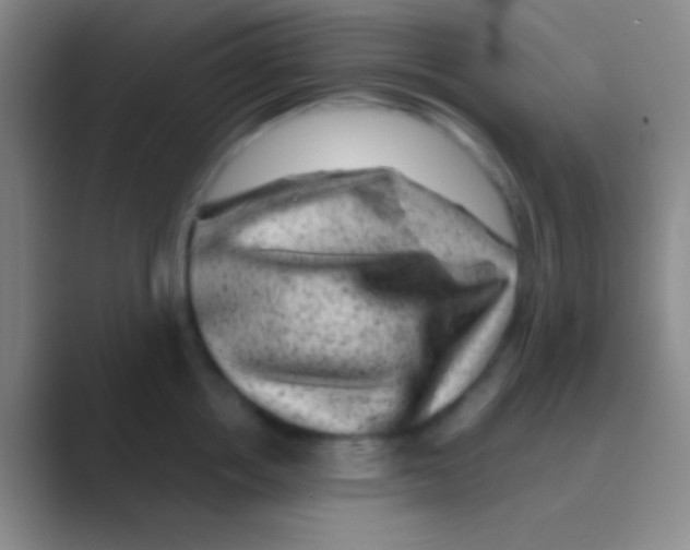 X0000088730858200706282122