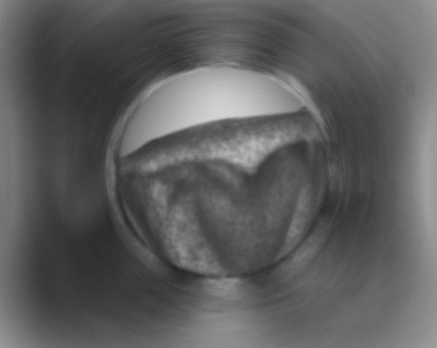 X0000088730859200706282122