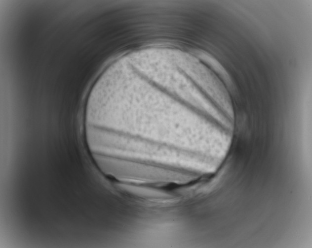 X0000088730860200706282122