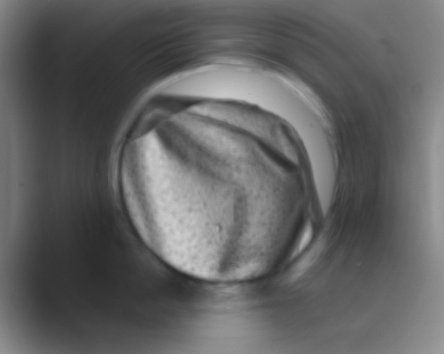 X0000088730862200706282122