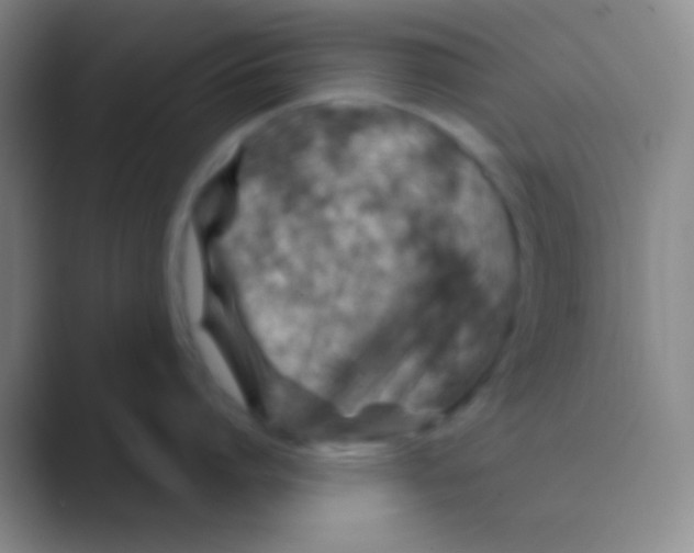 X0000088730864200706282122