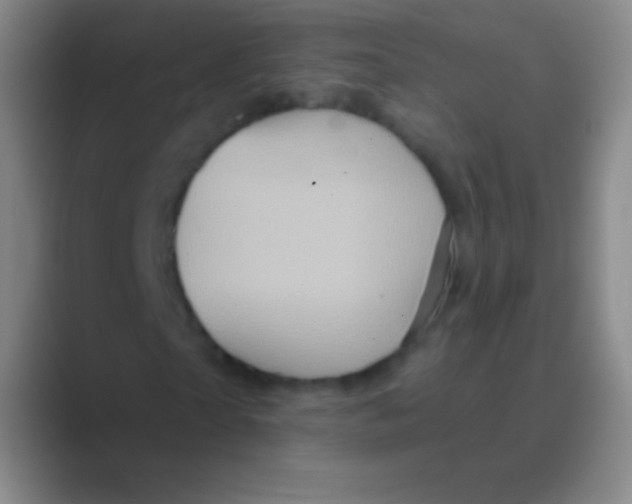 X0000088730865200706282122