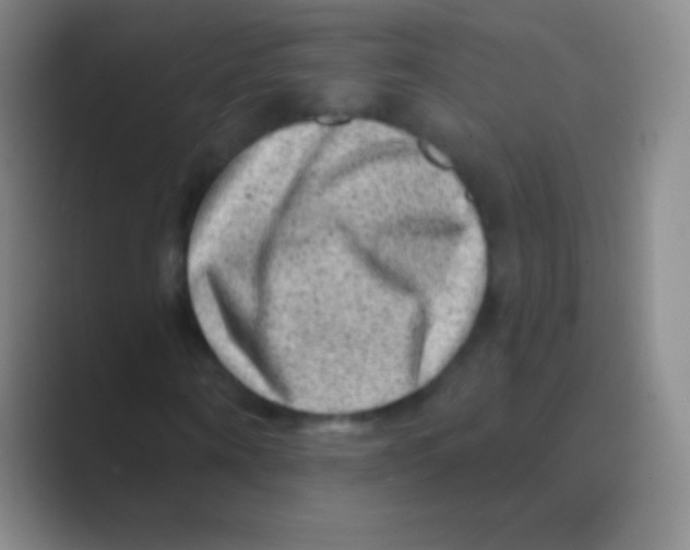 X0000088730866200706282122