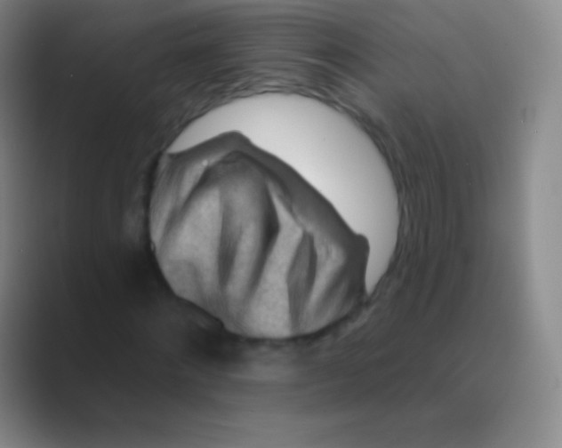 X0000088730868200706282122