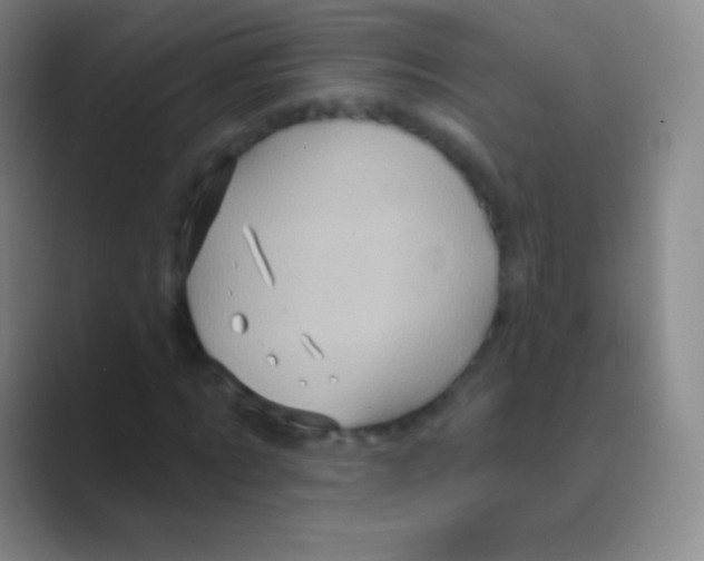 X0000088730869200706282122