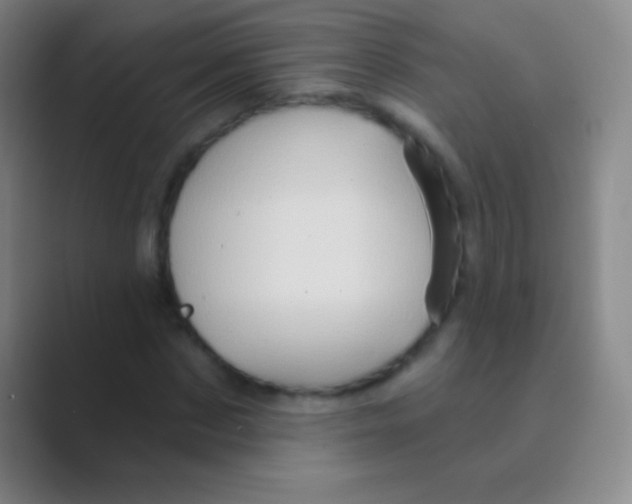 X0000088730873200706282122