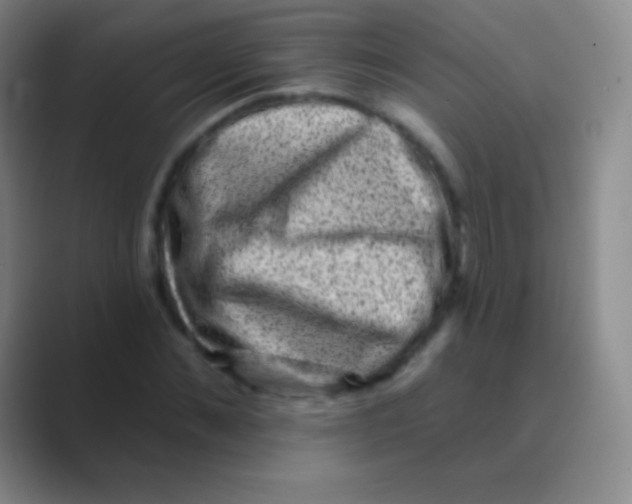 X0000088730876200706282122