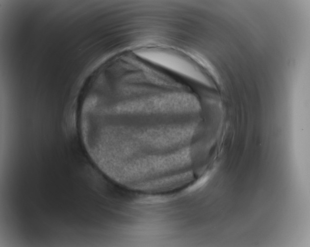 X0000088730877200706282122