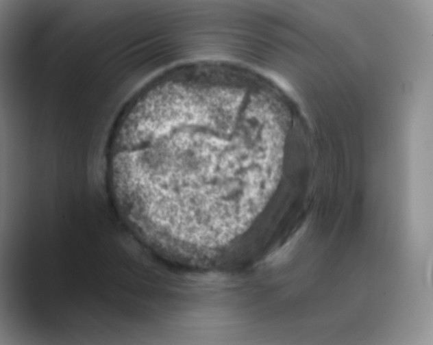 X0000088730879200706282122