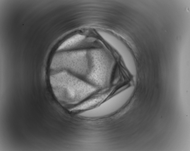 X0000088730880200706282122