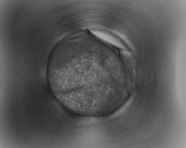 X0000088730881200706282122