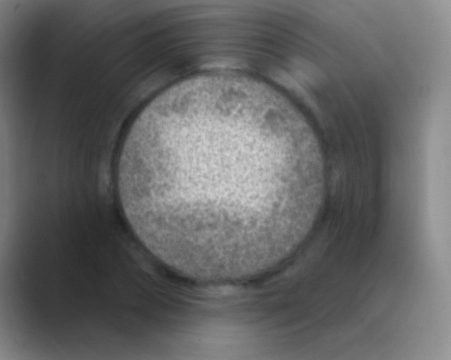 X0000088730882200706282122