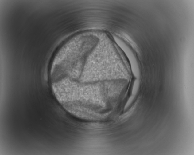 X0000088730883200706282122