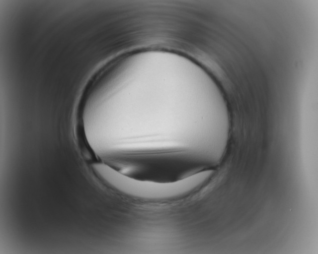 X0000088730888200706282122