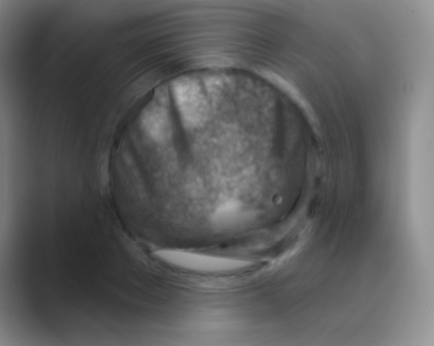 X0000088730889200706282122