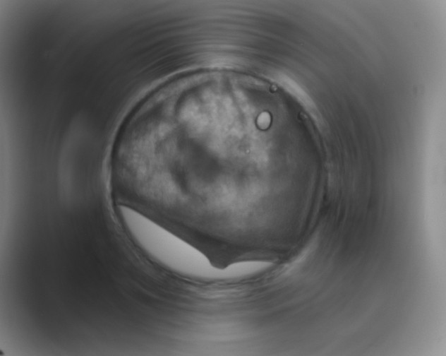 X0000088730891200706282122