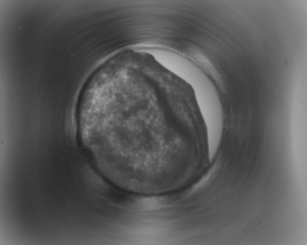 X0000088730892200706282121