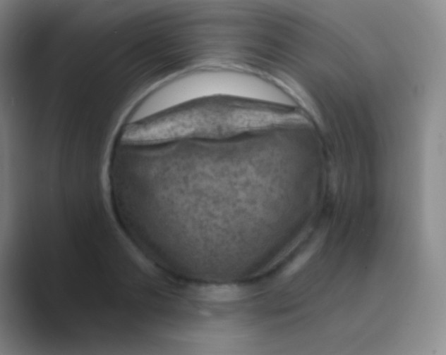 X0000088730893200706282121