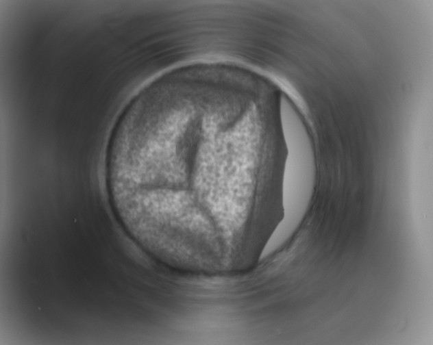 X0000088730895200706282121