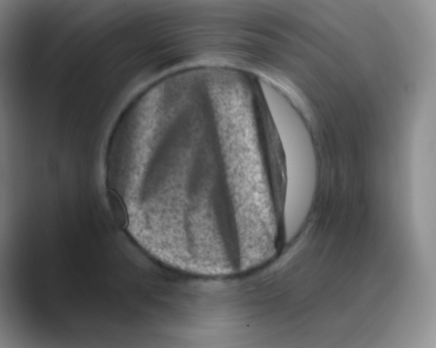 X0000088730896200706282121