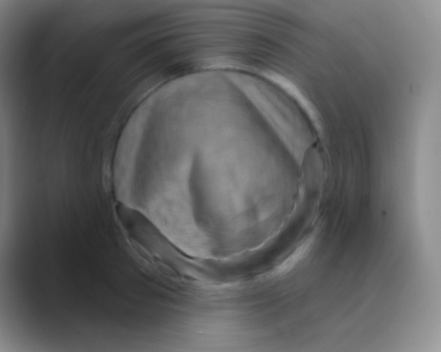 X0000088730897200706282121