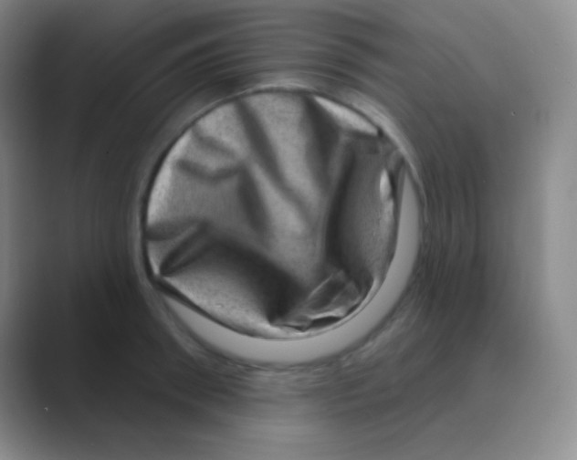 X0000088730898200706282121