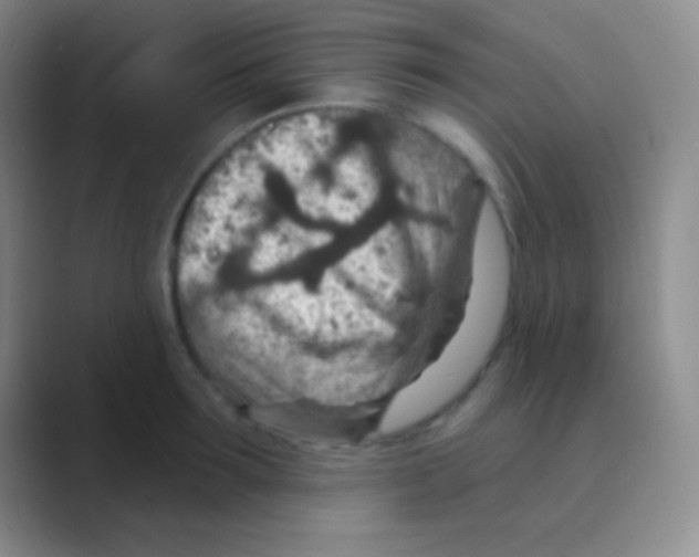 X0000088730899200706282121