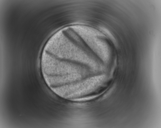 X0000088730900200706282121