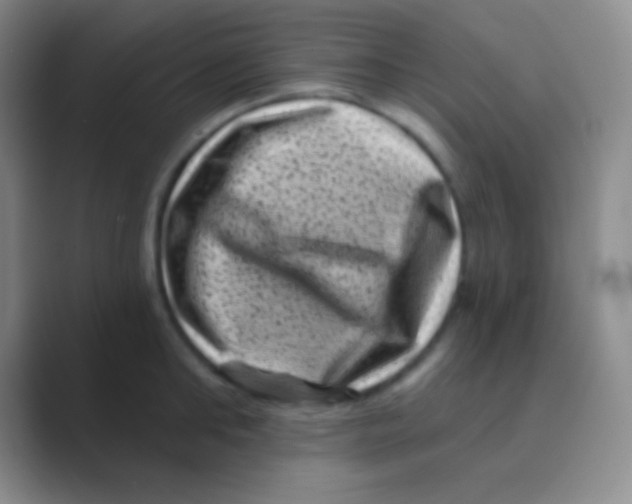 X0000088730902200706282121