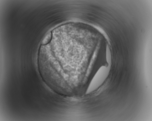 X0000088730903200706282121